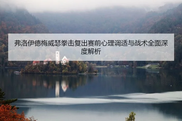弗洛伊德梅威瑟拳击复出赛前心理调适与战术全面深度解析 - WANBO